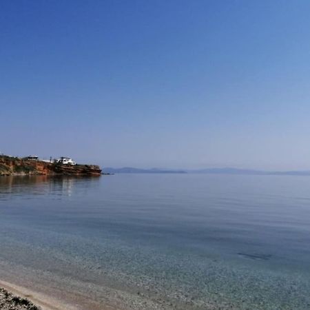 Apartament Summer House With A Pool Near Sea, Port & Airport Rafína Zewnętrze zdjęcie