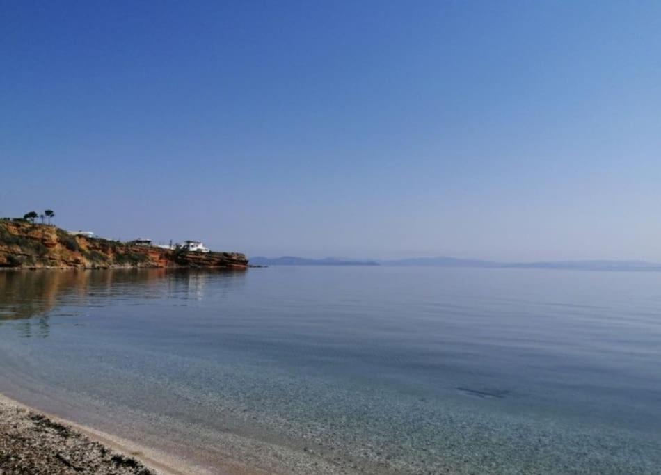 Apartament Summer House With A Pool Near Sea, Port & Airport Rafína Zewnętrze zdjęcie